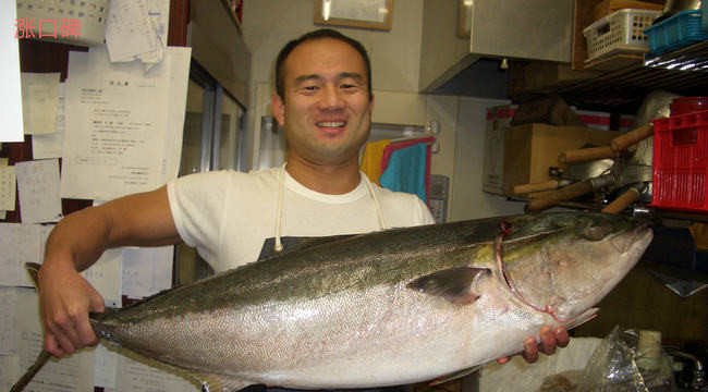世界十大名贵淡水鱼 最美味的淡水鱼排行